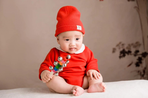 供卵中介机构有哪些1岁宝宝发育标准 供卵中介机构有哪些1岁宝宝发育标准